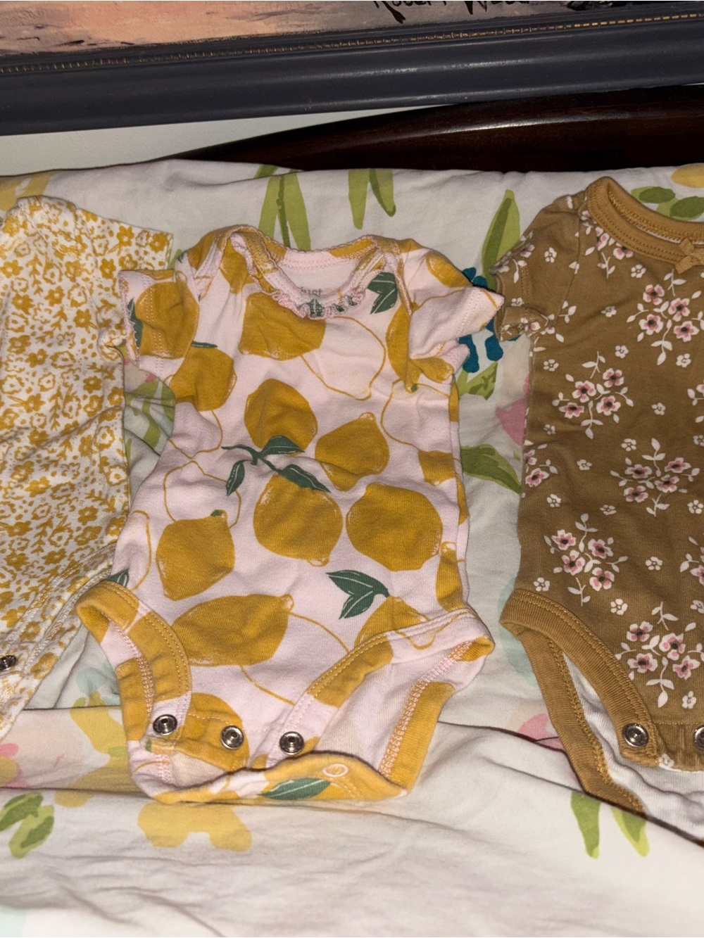 Newborn Onesies 3 Pack Organic Cotton / Cotton Baby Clothes